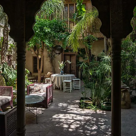 Riad Kbour & Chou-2